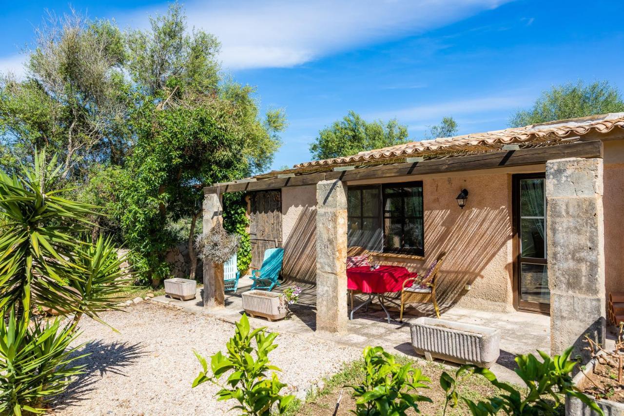 Only Adults App Osten Mallorca * Son Macia (Mallorca)